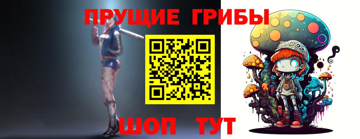 Таганрог  Псилоцибиновые грибы Psilocybe  Вход с VPN 